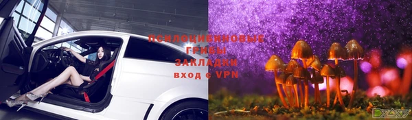 гашик Нягань