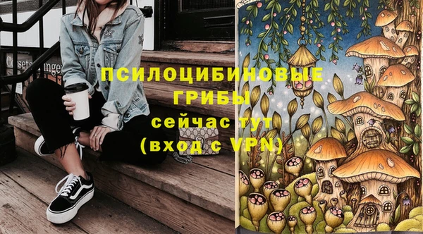 гашик Нягань