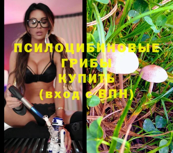 гашик Нягань