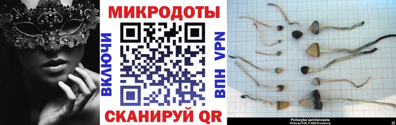 Галлюциногенные грибы мухоморы  Удомля 